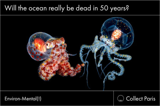 Will the ocean really be dead in 50 years?